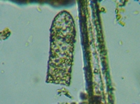 fig.15 �t�󍪑����j