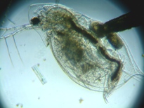 fig.03 �_�t�j�A