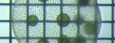 fig.08 �{���{�b�N�X�i�����j
���a��T�S�O�ʂ�