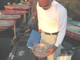 ��א���{�[�g��