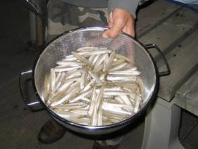 �s�苴���r���{�[�g��