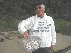 �s�苴���r���{�[�g��