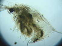 fig.01 �_�t�j�A