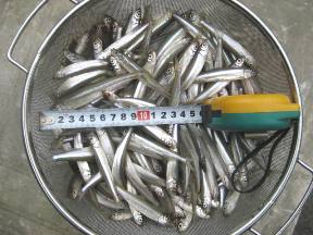 ��א���{�[�g��