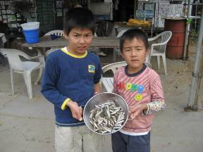 ��א���{�[�g��