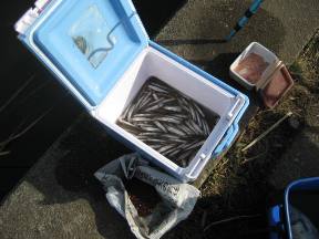 ���J�c��ݒނ�