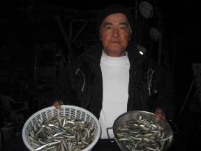 ��א���{�[�g��