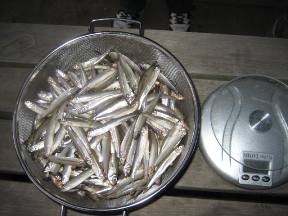 ��א���{�[�g��