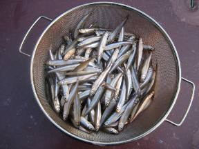 ��א���{�[�g��