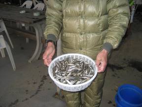 ��א���{�[�g��