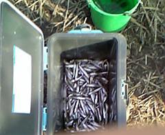 ���J�c����ݒނ�