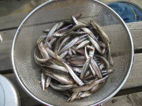 ��א���{�[�g��