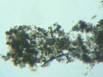 fig.03 �f�g���^�X