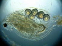 fig.03 �_�t�j�A