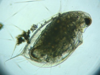 fig.03 �_�t�j�A