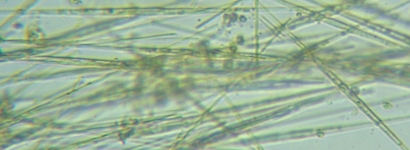 fig.08 �V�l�h����