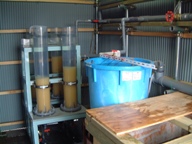 fig.a01 �������