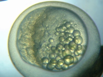 fig.b01 �������