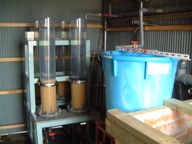 fig.a02 ����Q����