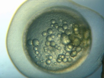 fig.b02 ����Q����