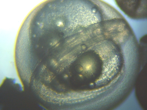 �󐸌�R�Q�O���Ԍo�ߑ�����