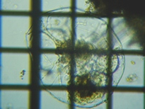 fig.03 �t�N�������V