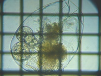 fig.03 �t�N�������V