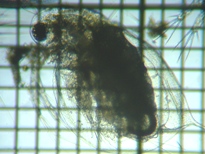 fig.04 �_�t�j�A