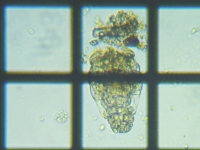 fig.06 �e�}�������V��