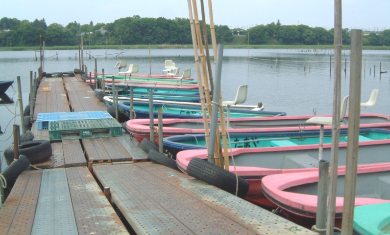 fig.01 ���c�S�Y����S�i