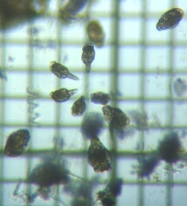 fig.06 �e�}�������V