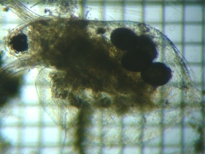 fig.04 �_�t�j�A