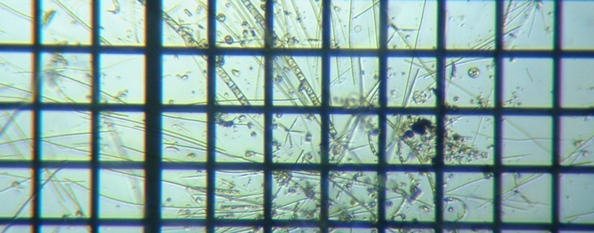 fig.10 �����̗l�q