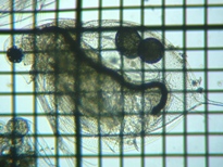 fig.05 �_�t�j�A