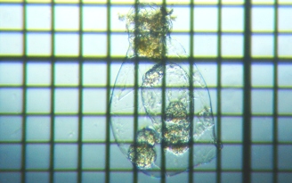 fig.07 �t�N�������V