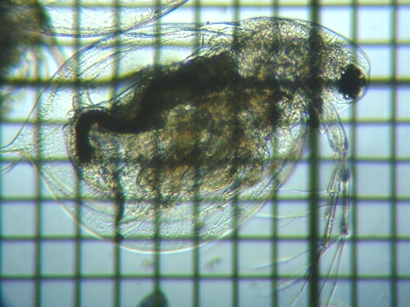 fig.04 �_�t�j�A