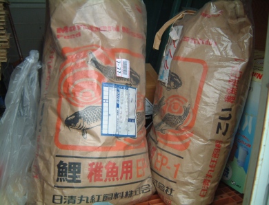 fig.04 �l�H�����O��