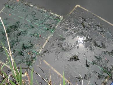 fig.12 �e���̎Y�����i�S�i�j