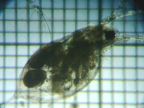 fig.03 �_�t�j�A