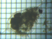 fig.02 �_�t�j�A