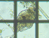 fig.07 �e�}�������V