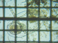 fig.09 �t�N�������V