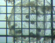 fig.06 �{���{�b�N�X��