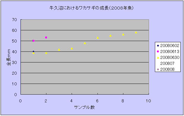 fig.02 ���v���ɂ�����A���J�T�M�̐����i�Q�O�O�W�N���j