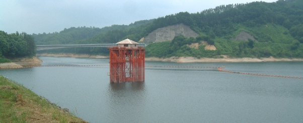 ���E�_�������r