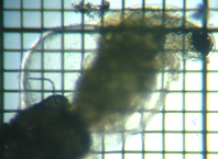 fig.04 �_�t�j�A