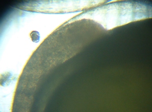 fig.03 ��i�����j