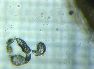 fig.04 ��i�����j�Ǝ���ۂƗ���