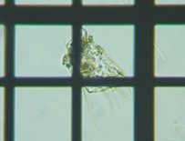 fig.08 �n�l�E�f�����V