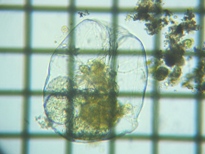 fig.03 �t�N�������V